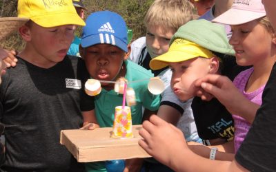 Voortrekkers_Kamp_klitsgras