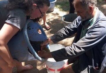 Artikel 8_Kraaifontein